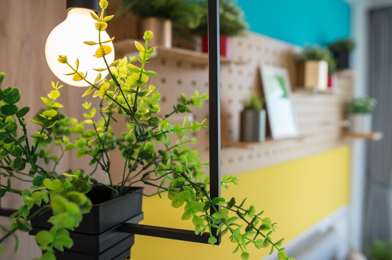 Secret Path B&B Đảo Tiểu Lưu Cầu Ngoại thất bức ảnh